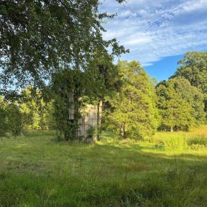 Photo #8 of 164 GARRETTS MILL RD, BUMPASS, VA 18.3 acres
