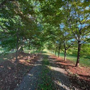 Photo #1 of 164 GARRETTS MILL RD, BUMPASS, VA 18.3 acres