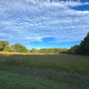 Photo #22 of 164 GARRETTS MILL RD, BUMPASS, VA 18.3 acres
