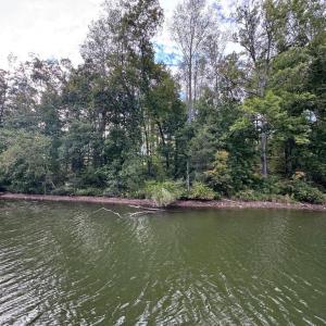 Photo #5 of COMPASS COVE, MINERAL, VA 1.0 acres