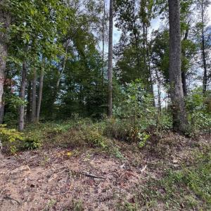 Photo #10 of COMPASS COVE, MINERAL, VA 1.0 acres