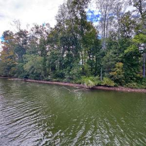 Photo #1 of COMPASS COVE, MINERAL, VA 1.0 acres