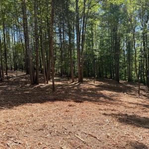 Photo #42 of  6.2 acres