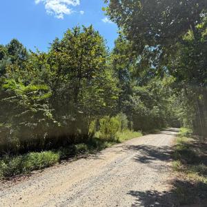 Photo #9 of  6.2 acres