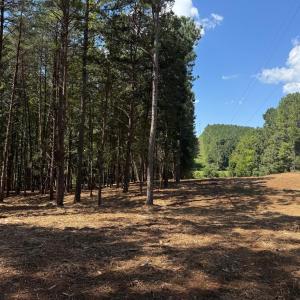 Photo #14 of  6.2 acres