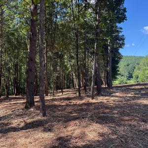 Photo #15 of  6.2 acres