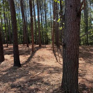 Photo #13 of  6.2 acres