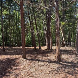 Photo #16 of  6.2 acres