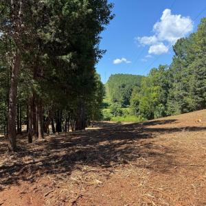 Photo #17 of  6.2 acres