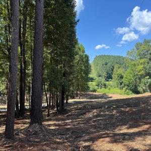 Photo #18 of  6.2 acres