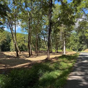 Photo #20 of  6.2 acres