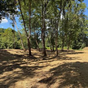 Photo #21 of  6.2 acres