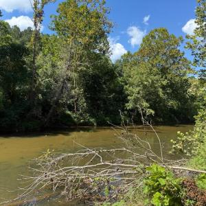 Photo #23 of  6.2 acres