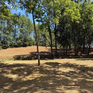 Photo #26 of  6.2 acres