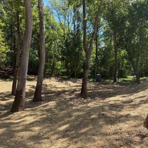 Photo #27 of  6.2 acres