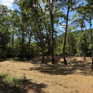 Photo #30 of  6.2 acres