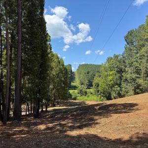 Photo #32 of  6.2 acres