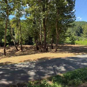 Photo #33 of  6.2 acres