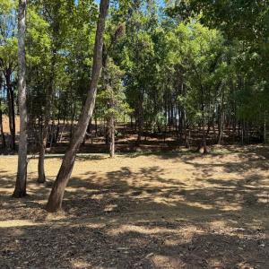 Photo #36 of  6.2 acres