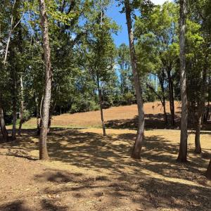 Photo #37 of  6.2 acres