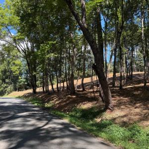 Photo #40 of  6.2 acres