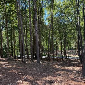 Photo #38 of  6.2 acres