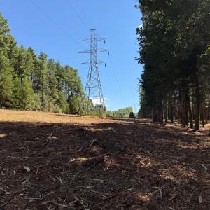 Photo #41 of  6.2 acres