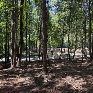 Photo #43 of  6.2 acres