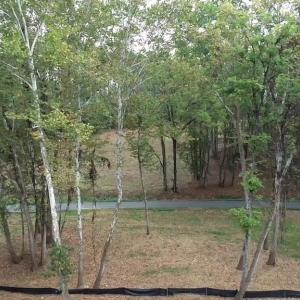 Photo #46 of  6.2 acres