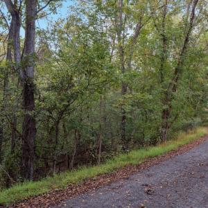 Photo #3 of 200 COLWOOD DR, RILEYVILLE, VA 0.9 acres