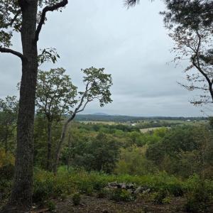 Photo #1 of SUNSET WOODS TRAIL, RIXEYVILLE, VA 10.9 acres