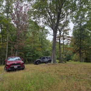 Photo #12 of SUNSET WOODS TRAIL, RIXEYVILLE, VA 10.9 acres