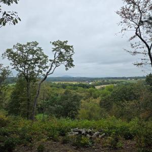 Photo #6 of SUNSET WOODS TRAIL, RIXEYVILLE, VA 10.9 acres