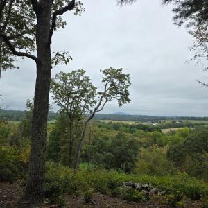 Photo #7 of SUNSET WOODS TRAIL, RIXEYVILLE, VA 10.9 acres