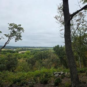 Photo #8 of SUNSET WOODS TRAIL, RIXEYVILLE, VA 10.9 acres