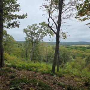 Photo #5 of SUNSET WOODS TRAIL, RIXEYVILLE, VA 10.9 acres