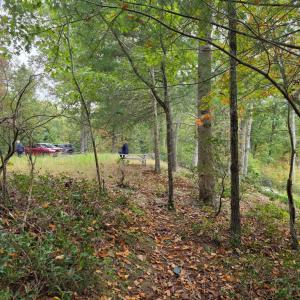 Photo #13 of SUNSET WOODS TRAIL, RIXEYVILLE, VA 10.9 acres