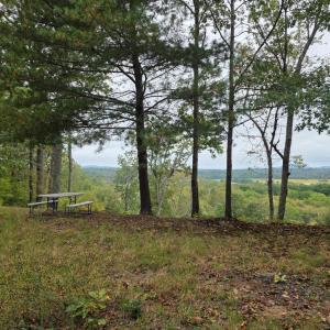 Photo #2 of SUNSET WOODS TRAIL, RIXEYVILLE, VA 10.9 acres