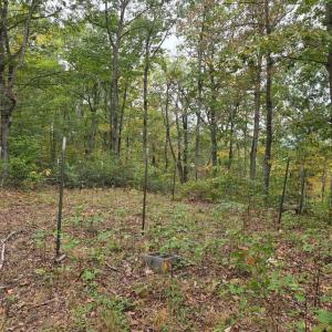 Photo #22 of SUNSET WOODS TRAIL, RIXEYVILLE, VA 10.9 acres
