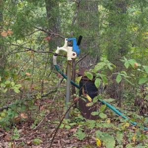 Photo #19 of SUNSET WOODS TRAIL, RIXEYVILLE, VA 10.9 acres