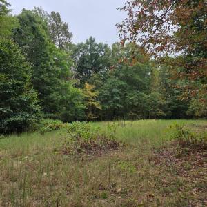 Photo #24 of SUNSET WOODS TRAIL, RIXEYVILLE, VA 10.9 acres