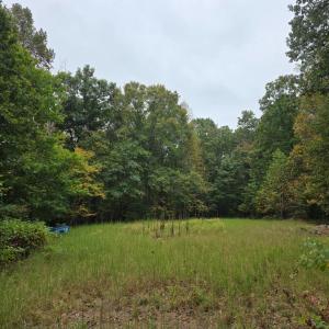 Photo #25 of SUNSET WOODS TRAIL, RIXEYVILLE, VA 10.9 acres