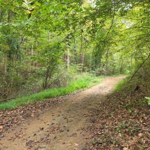 Photo #35 of SUNSET WOODS TRAIL, RIXEYVILLE, VA 10.9 acres