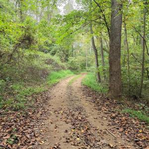 Photo #36 of SUNSET WOODS TRAIL, RIXEYVILLE, VA 10.9 acres