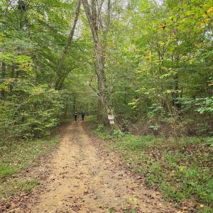 Photo #38 of SUNSET WOODS TRAIL, RIXEYVILLE, VA 10.9 acres
