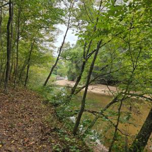 Photo #44 of SUNSET WOODS TRAIL, RIXEYVILLE, VA 10.9 acres