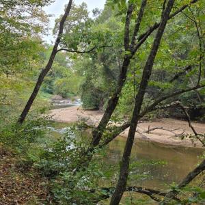 Photo #45 of SUNSET WOODS TRAIL, RIXEYVILLE, VA 10.9 acres