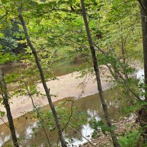 Photo #46 of SUNSET WOODS TRAIL, RIXEYVILLE, VA 10.9 acres