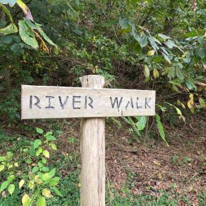 Photo #34 of SUNSET WOODS TRAIL, RIXEYVILLE, VA 10.9 acres