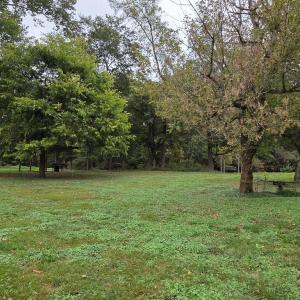Photo #52 of SUNSET WOODS TRAIL, RIXEYVILLE, VA 10.9 acres